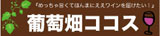 葡萄畑コース